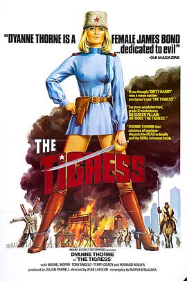 怎么样才能优化网站